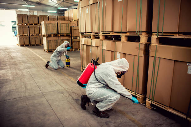 Best Affordable Pest Control Services  in College Park, GA