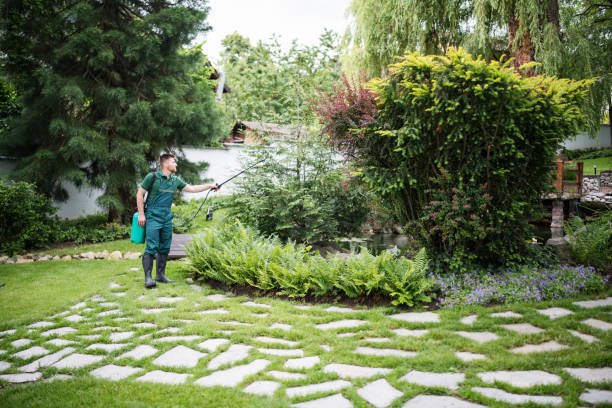 Best Best Pest Control Companies  in College Park, GA