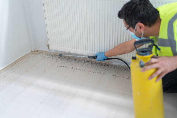 Best Pest Control Near Me  in College Park, GA